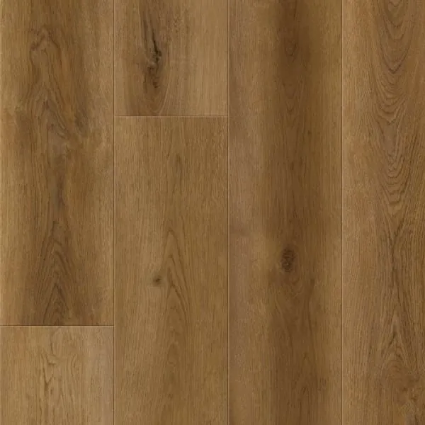 Quantum Trace — Lions Floor Formalay