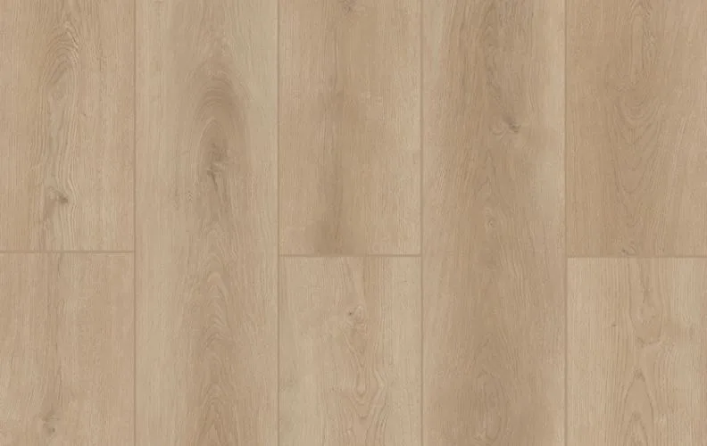 Castle Forge — Lions Floor Indoor Delight