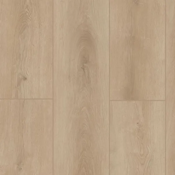 Castle Forge — Lions Floor Indoor Delight