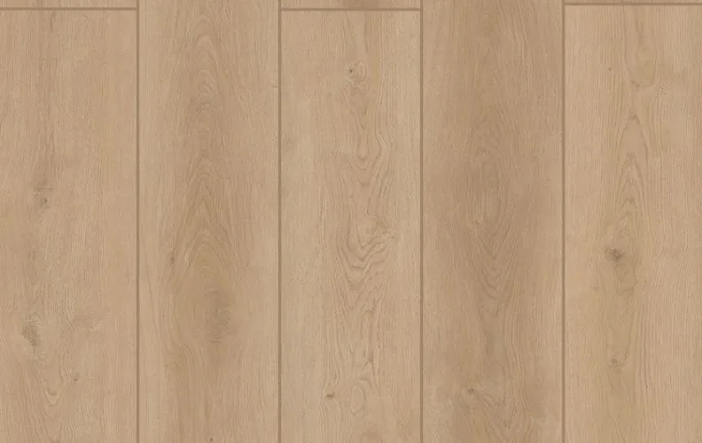 Forest Timber — Lions Floor Indoor Delight