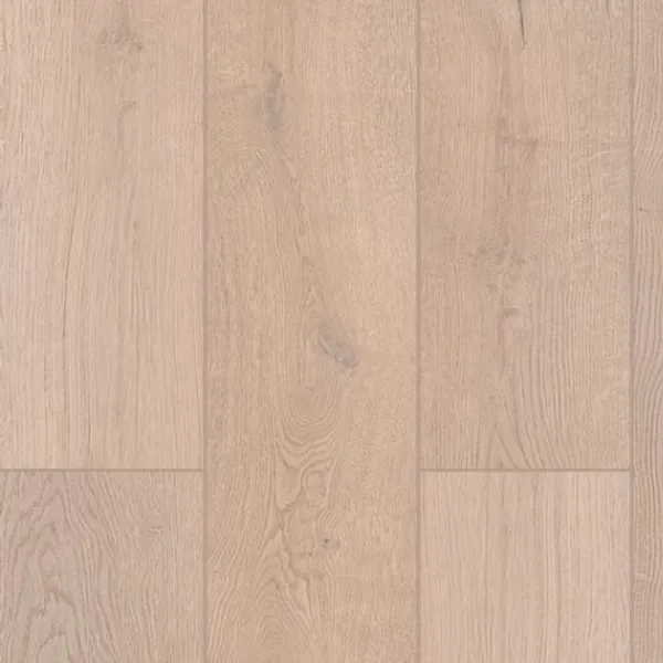 Lotus Clove — Lions Floor Indoor Delight