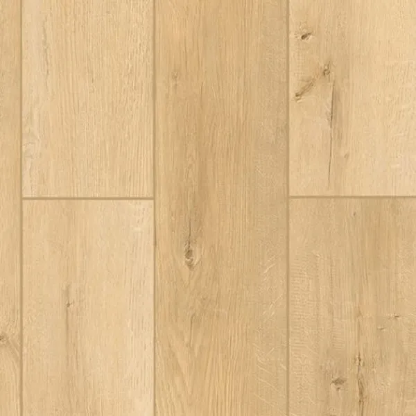 Woodland Charm — Lions Floor Indoor Delight
