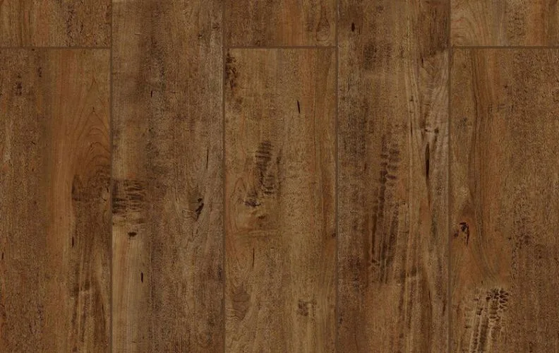 Chocolat — Lions Floor Lone Star Spirit
