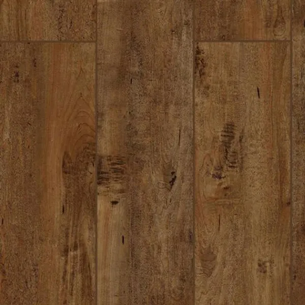 Chocolat — Lions Floor Lone Star Spirit