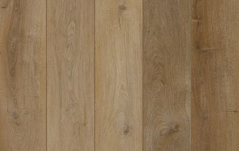 Toffeenut Umber — Lions Floor Lone Star Spirit