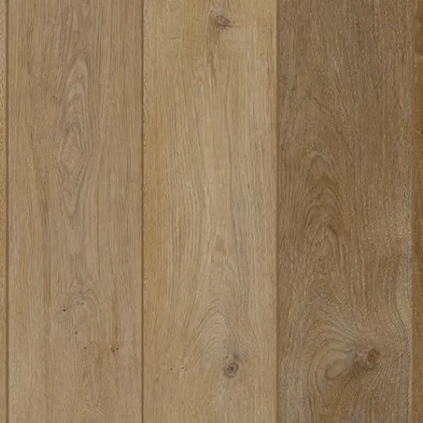 Toffeenut Umber — Lions Floor Lone Star Spirit