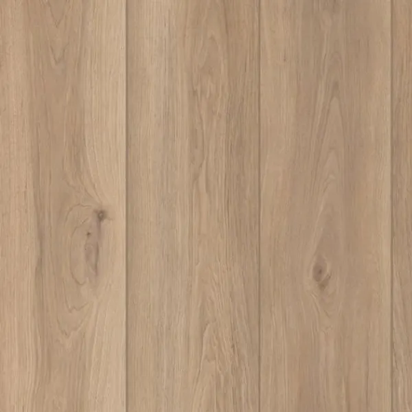 Artisan Touch — Lions Floor Lone Star Spirit XL
