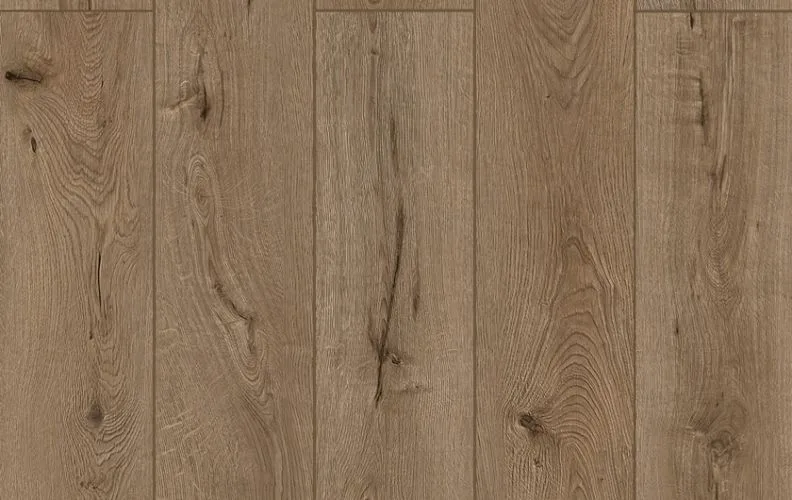 Forgotten Bark — Lions Floor Lone Star Spirit XL