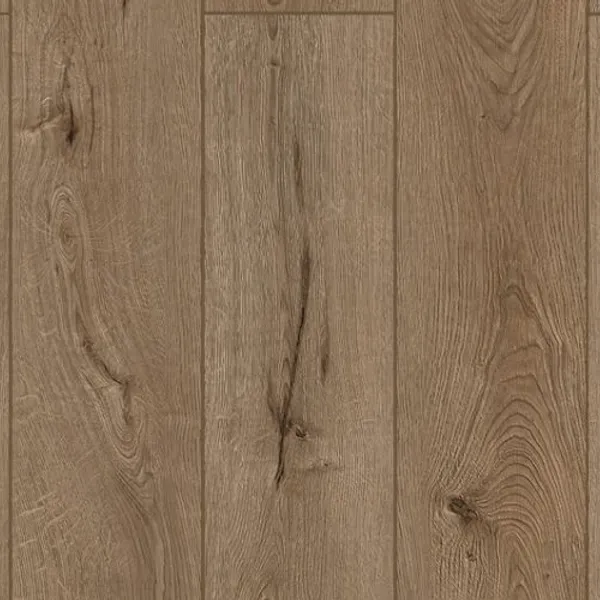 Forgotten Bark — Lions Floor Lone Star Spirit XL