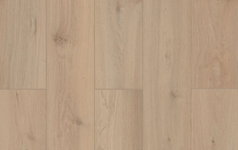 Sea Shell — Lions Floor Lone Star Spirit XL