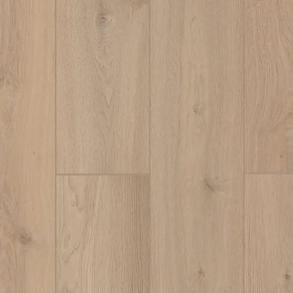 Sea Shell — Lions Floor Lone Star Spirit XL