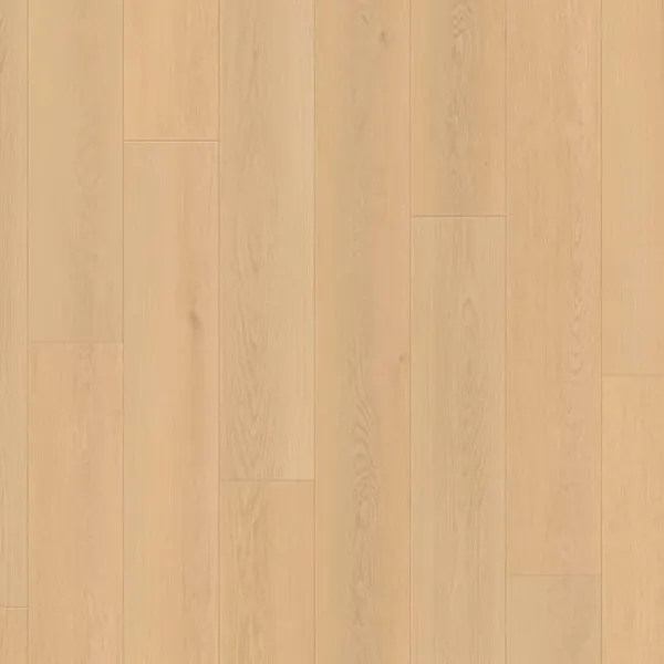 Coral Drift — Lions Floor Ocean Crest