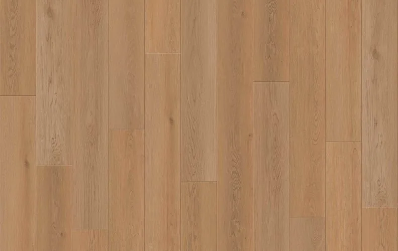 Shoreline Glow — Lions Floor Ocean Crest