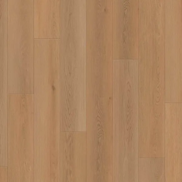 Shoreline Glow — Lions Floor Ocean Crest