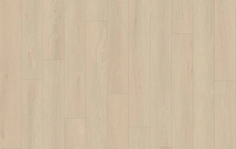 Marine Sheen — Lions Floor Seaside Summit
