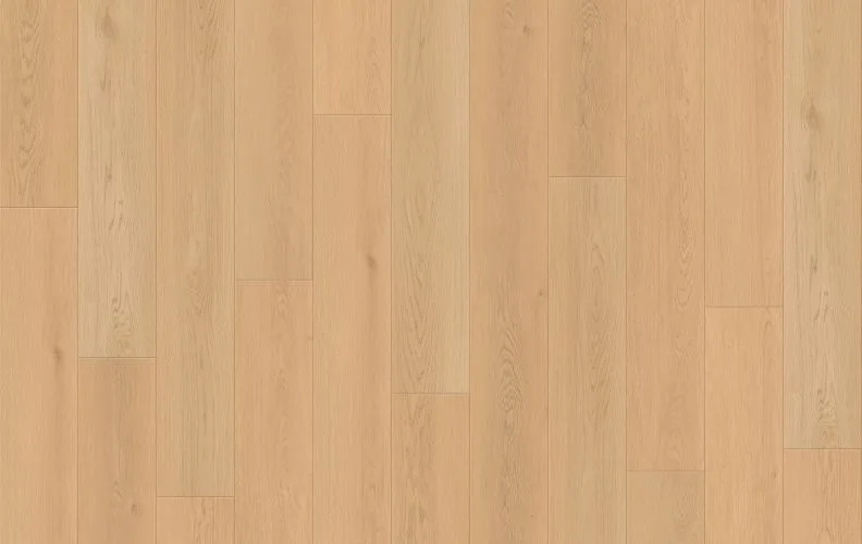 Seashell Radiance — Lions Floor Seaside Summit