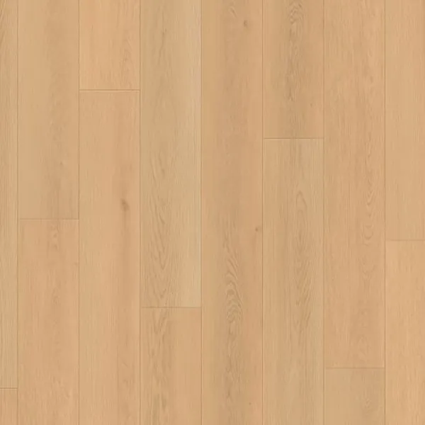 Seashell Radiance — Lions Floor Seaside Summit