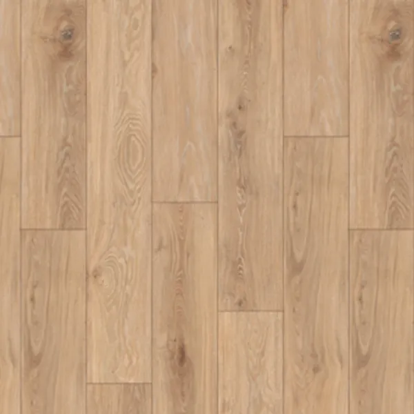 Bliss — Lions Floor Trenta