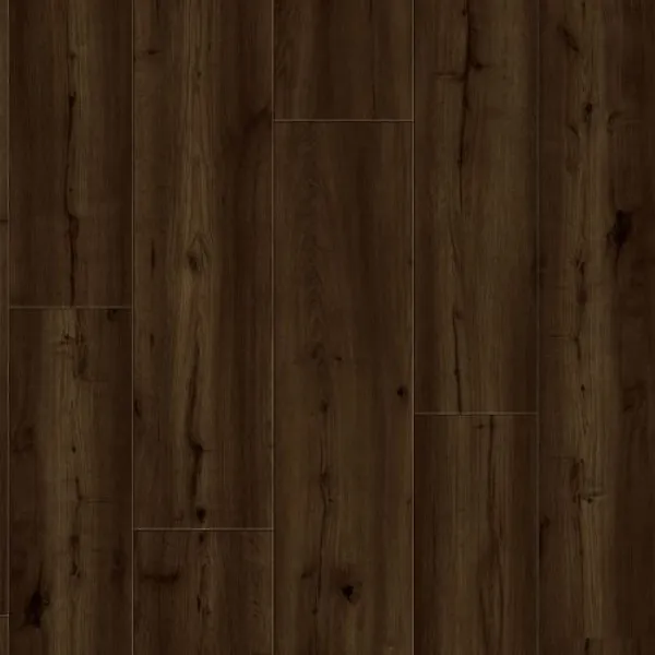 Hibiki — Lions Floor Trenta