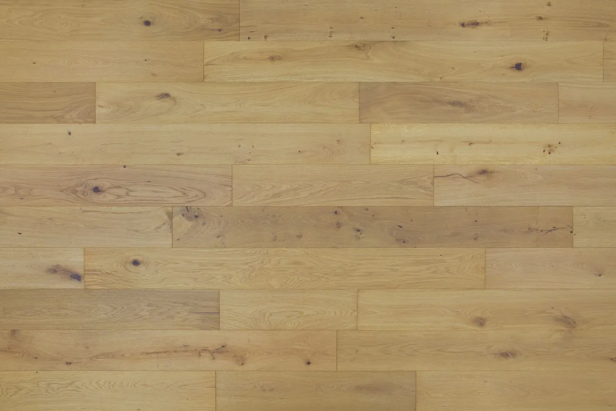 Totten's Inlet — Mission Collection Amora
