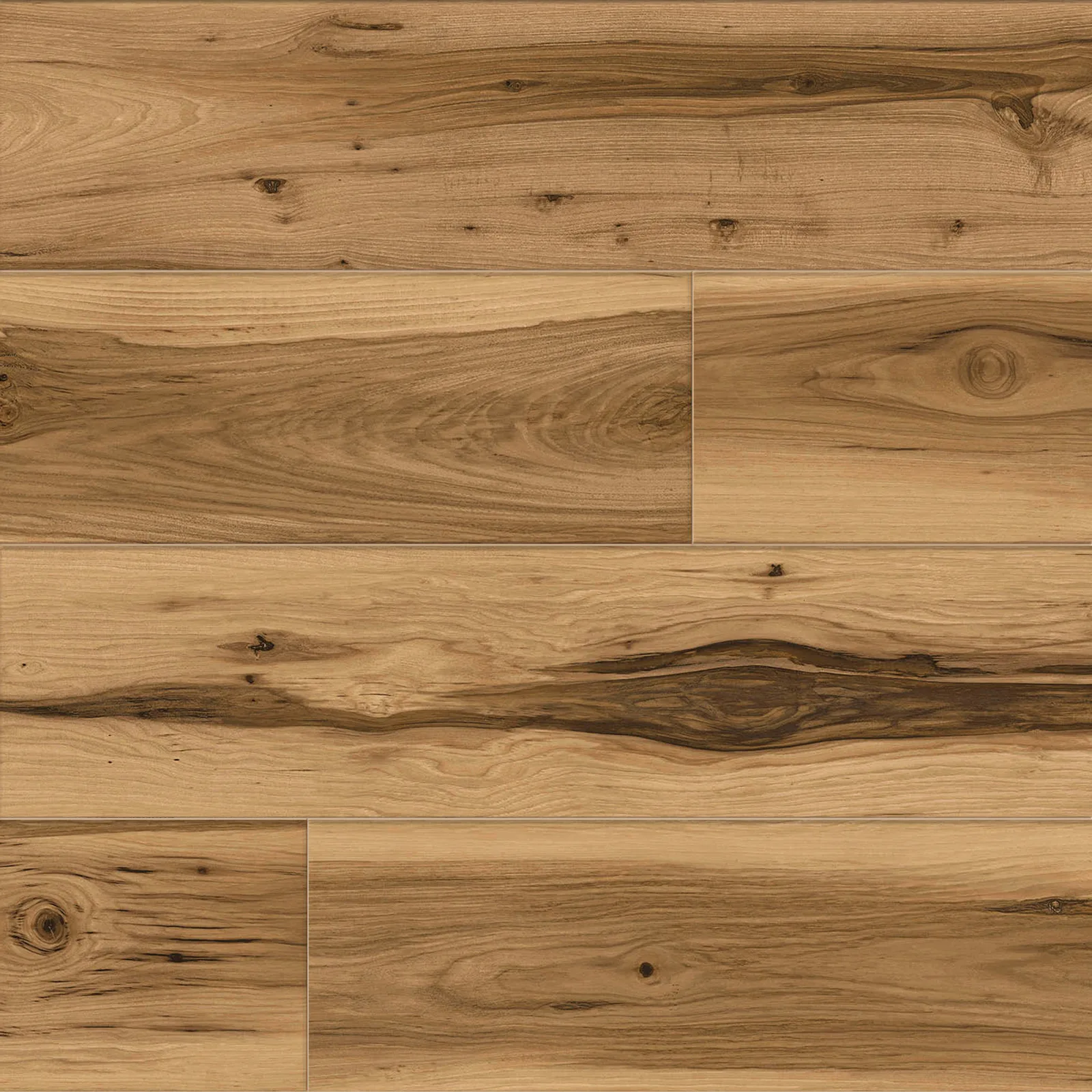 Golden Bark — Mission Collection Foundation