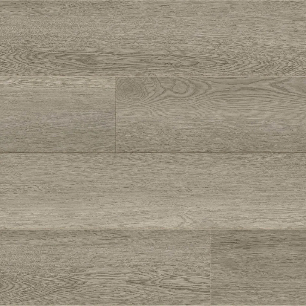 Sea Froth — Mission Collection Foundation