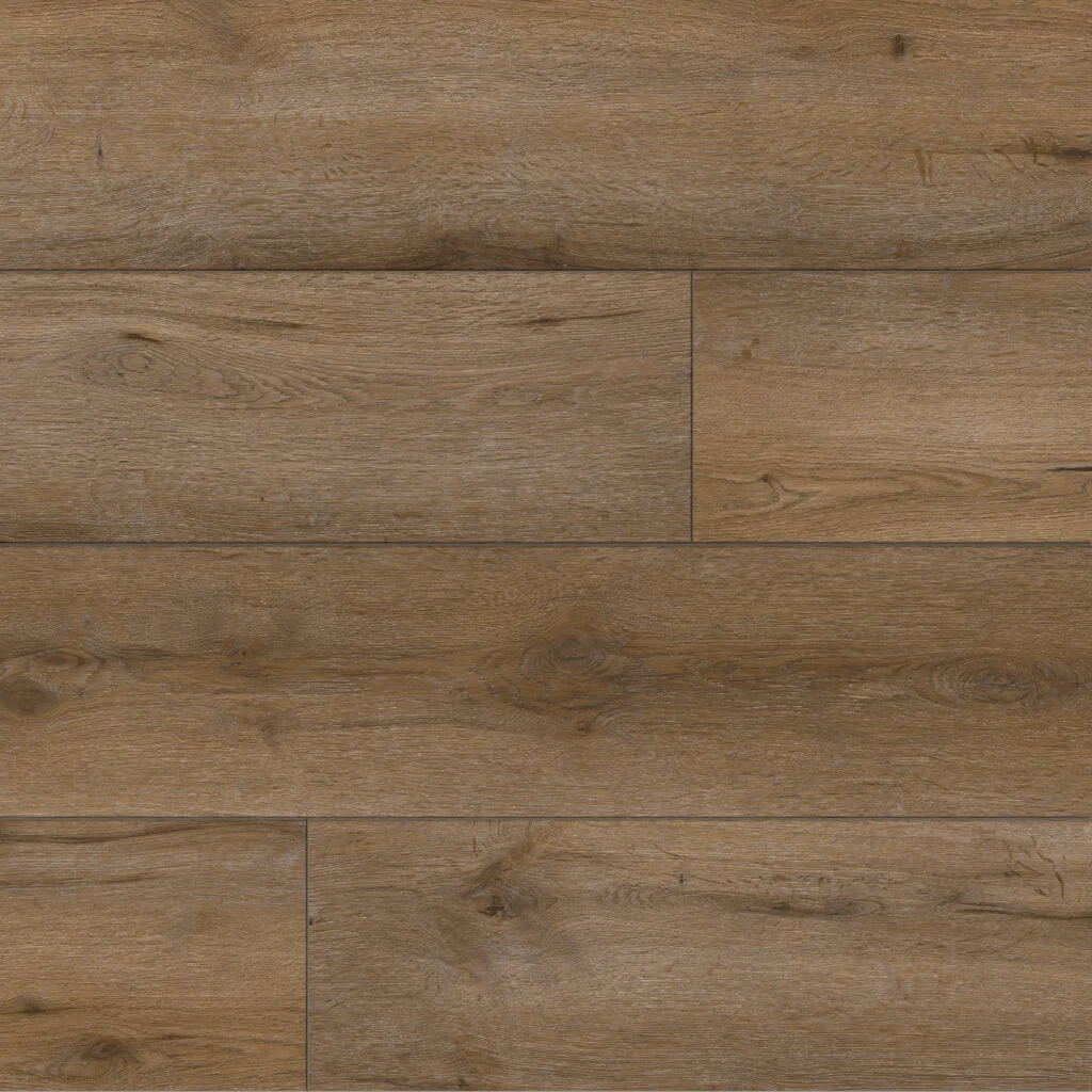 Shaded Canopy — Mission Collection Foundation