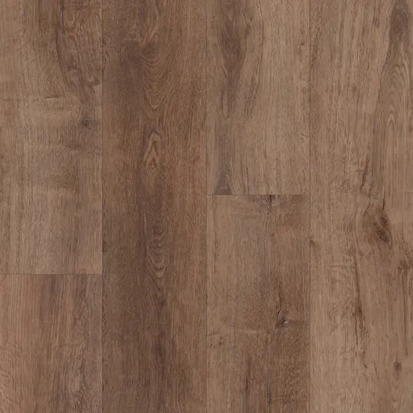 Oloroso — Mission Collection Montilla