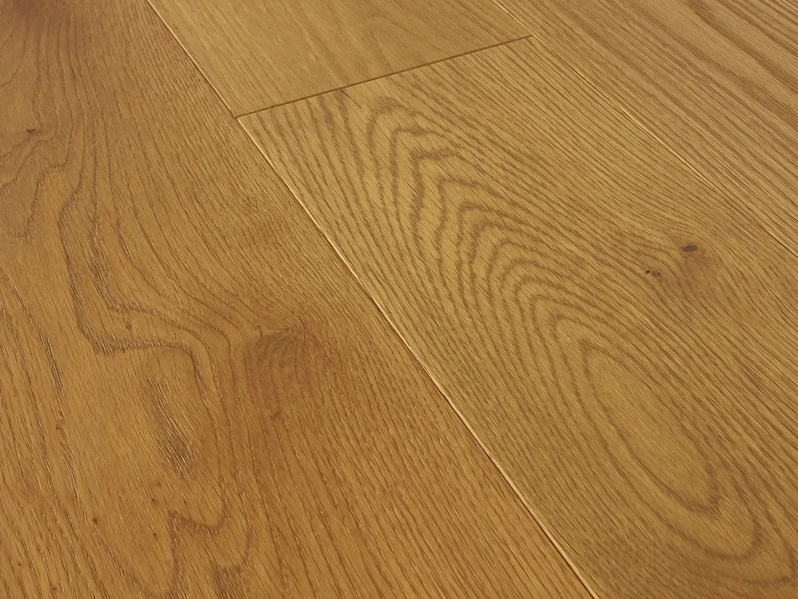 Belviso — Monarch Plank Lago