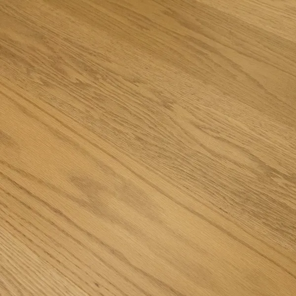 Aria — Monarch Plank Premio