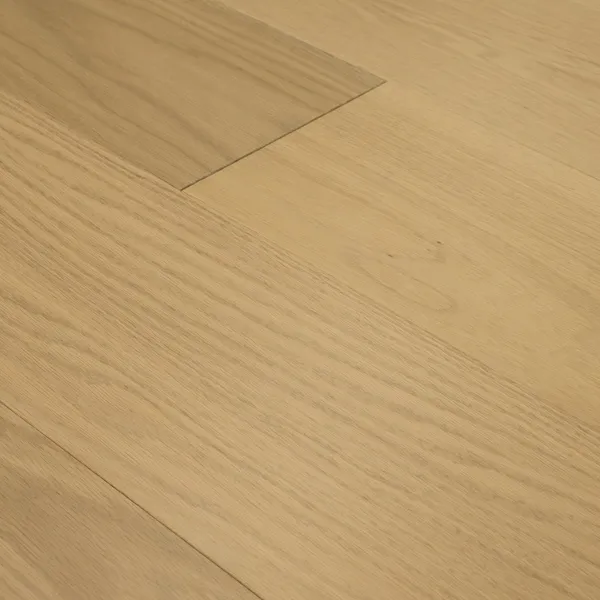 Bella — Monarch Plank Premio