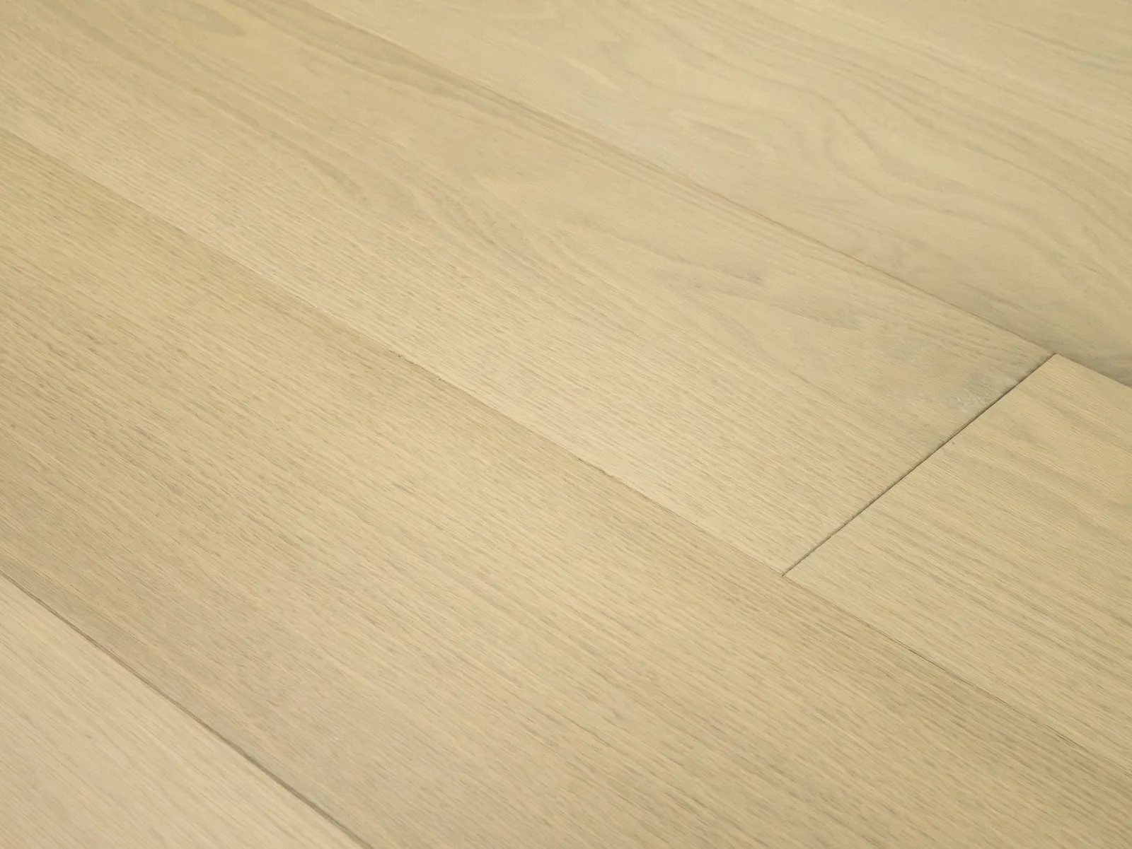 Cielo — Monarch Plank Premio