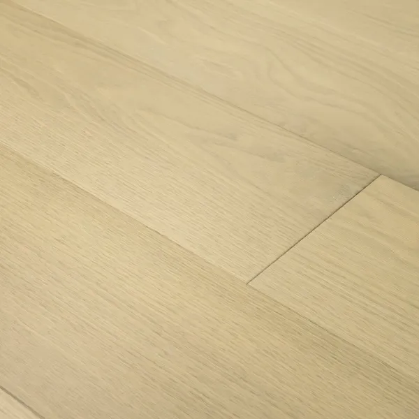 Cielo — Monarch Plank Premio