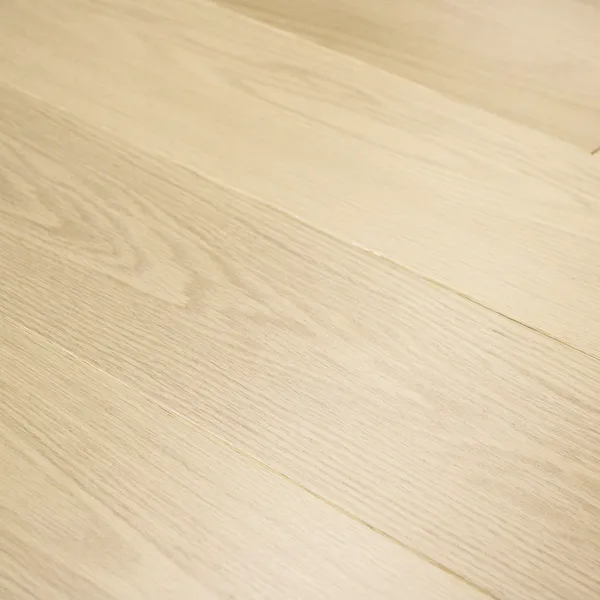 Vento — Monarch Plank Premio