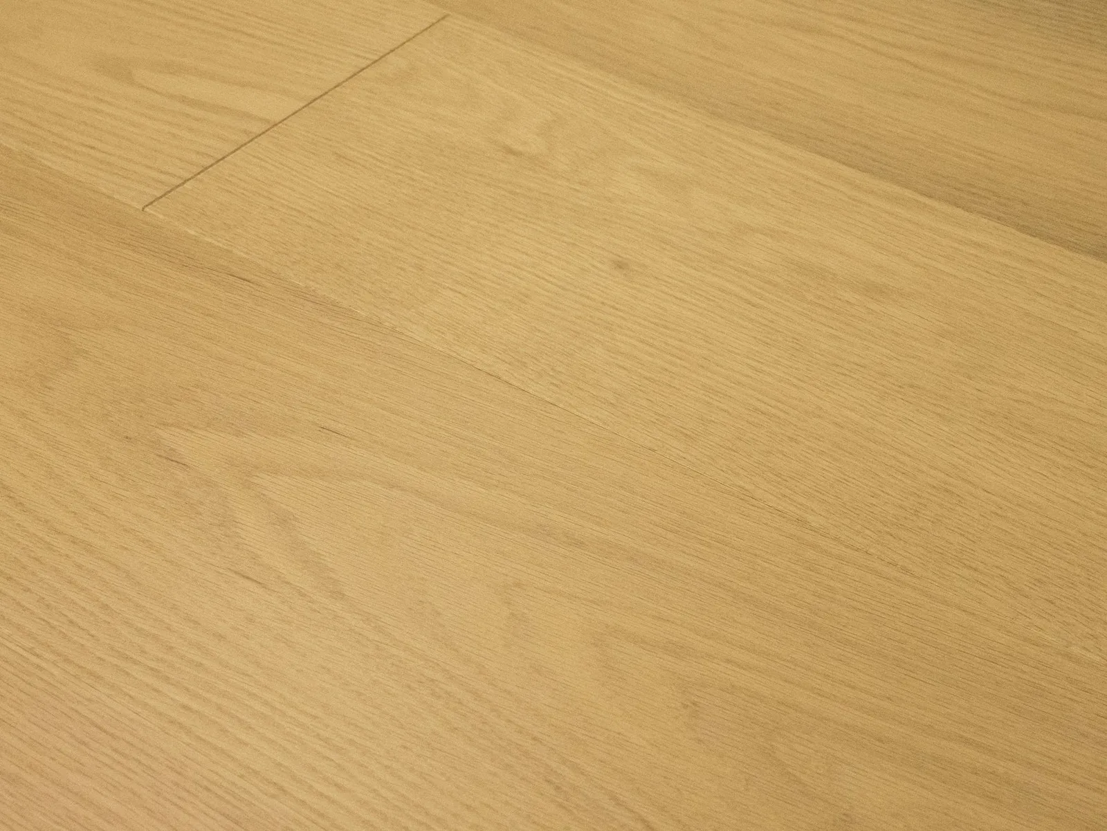 Vista — Monarch Plank Premio