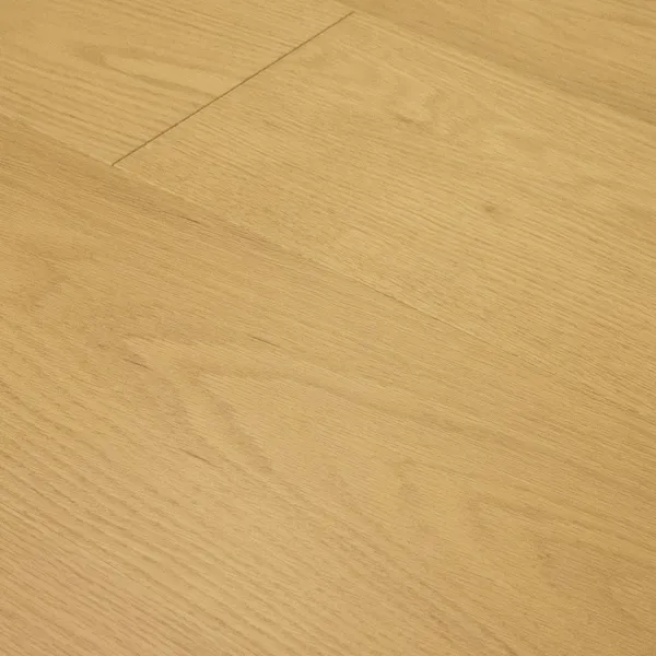 Vista — Monarch Plank Premio