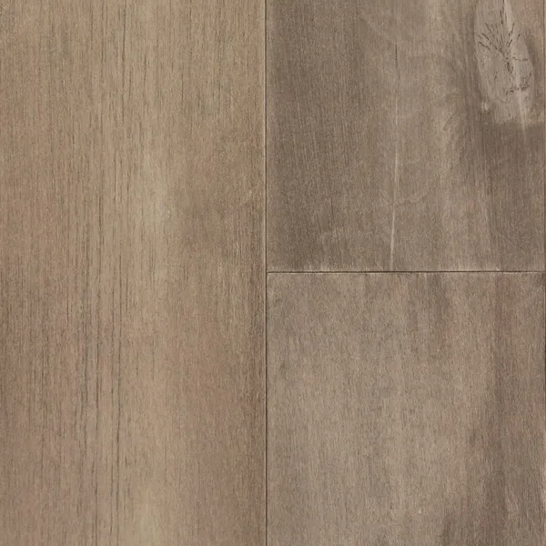 European Betula Silver — NuFloor Glacier Collection