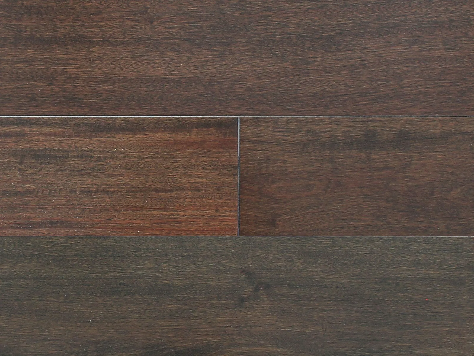 BRAZILIAN TOFFEE — Pravada Exotics Collection