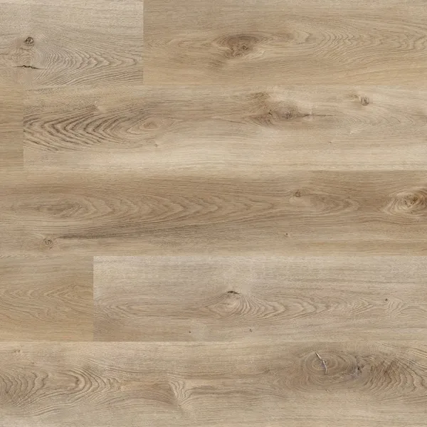 Eastern Cottonwood — Republic Floor Countryside (8mm)