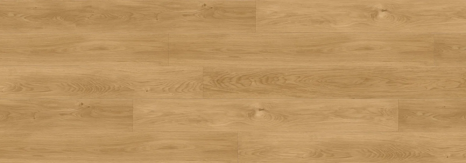 Costa Wyoming — Republic Floor North Water (12mm)