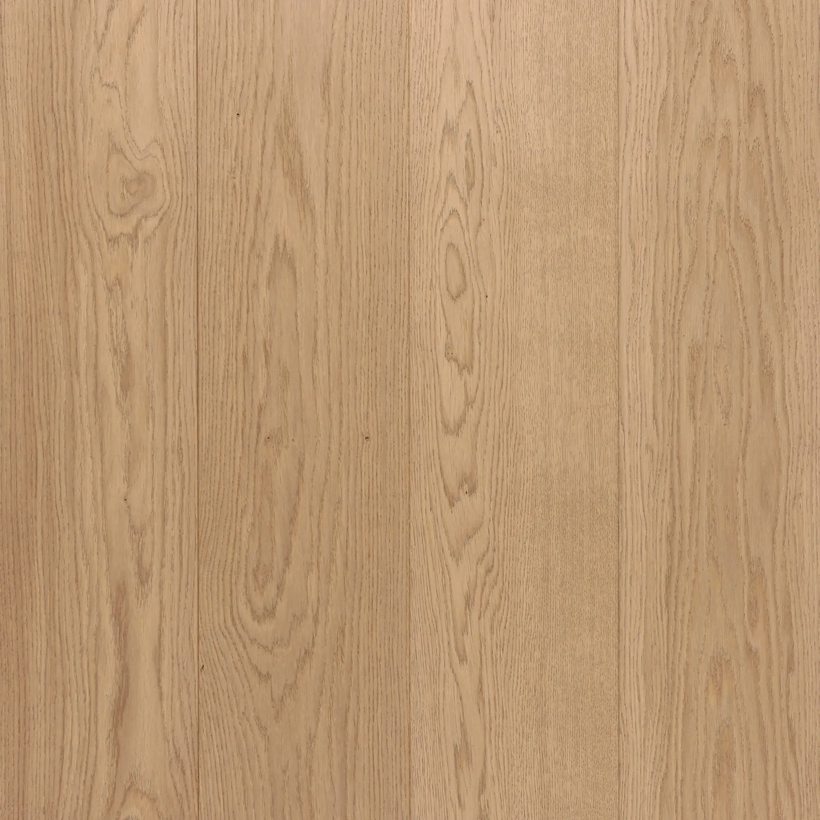 Earth — Riva Spain Riva Max