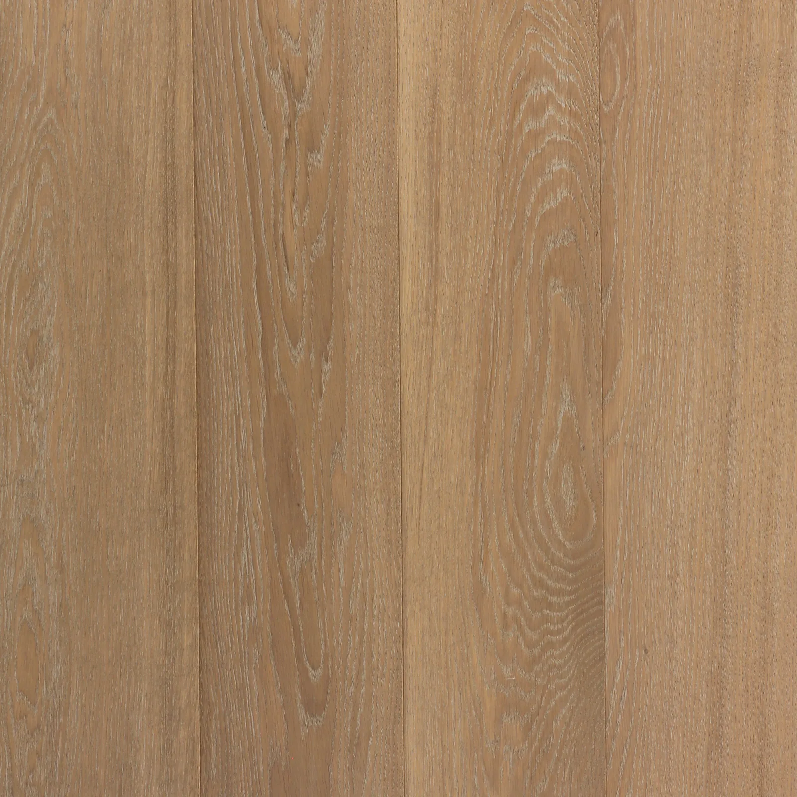 Sand — Riva Spain Riva Max
