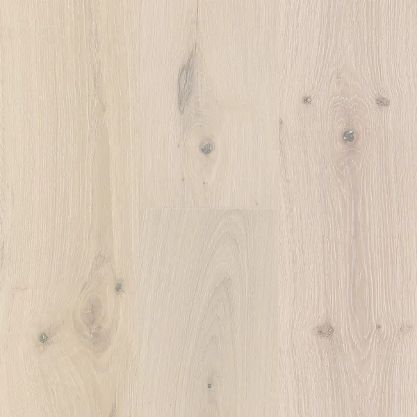 Daphnis — SLCC Milky Way Collection