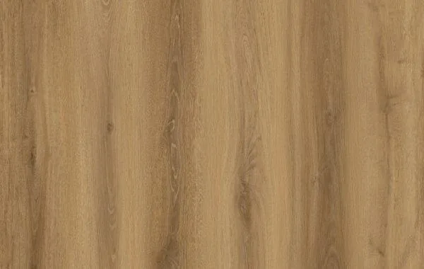 Boundless Buff room scene 1