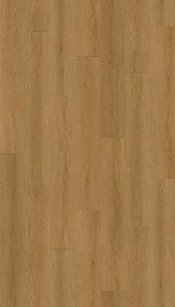Shasta room scene 1