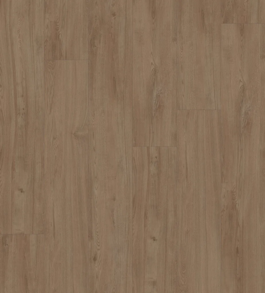 Daylight — Ultimate Floors Solace