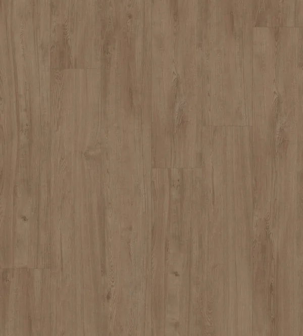 Daylight room scene 1