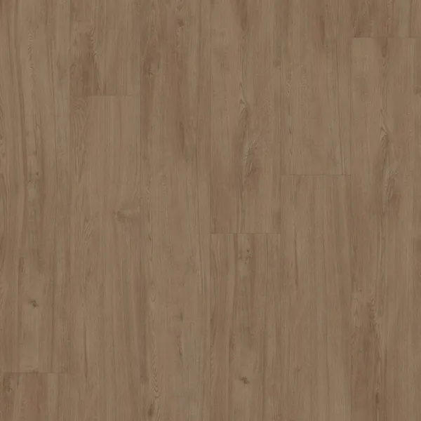Daylight — Ultimate Floors Solace