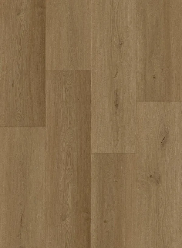 Softtrail room scene 1