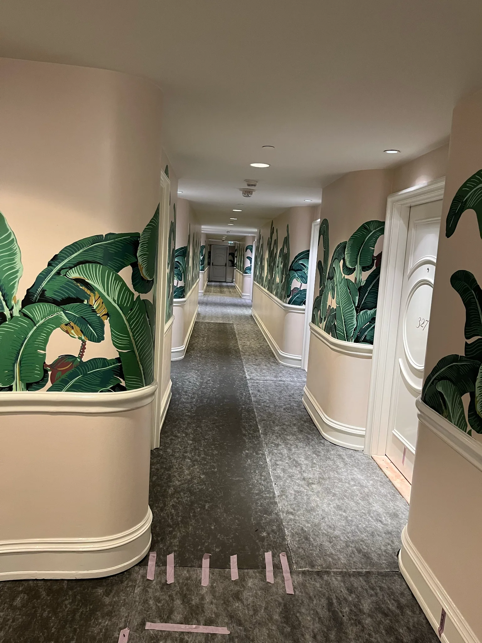 Work in progress: protective underlay down a banana-leaf-wallpapered corridor at The Beverly Hills Hotel
